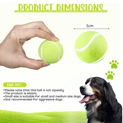 Tennis Balls ( 2-Inch)