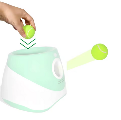 Tennis Balls ( 2-Inch)